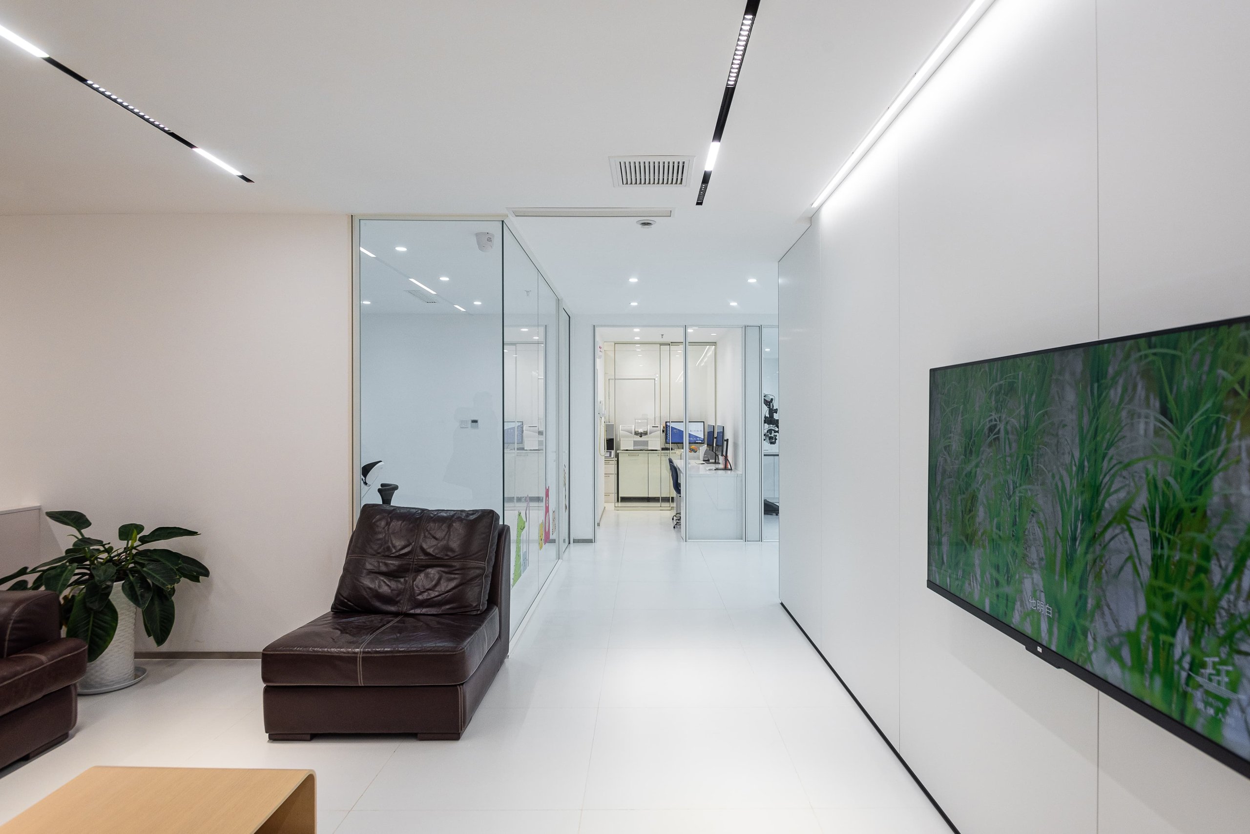 Dental clinic partition separating the waiting area from the treatment corridor while keeping the space visually open